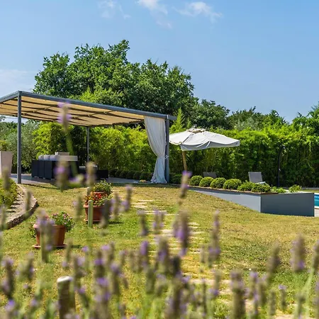 Istria Moderna In Muntic * Póla