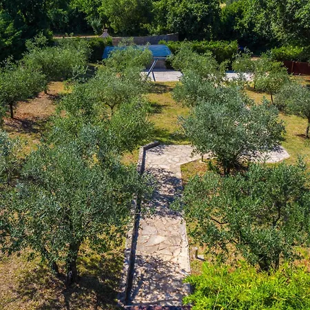 Villa Istria Moderna In Muntić Pula