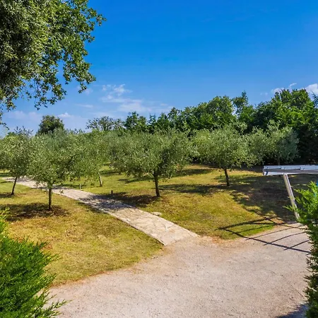 Villa Istria Moderna In Muntić *