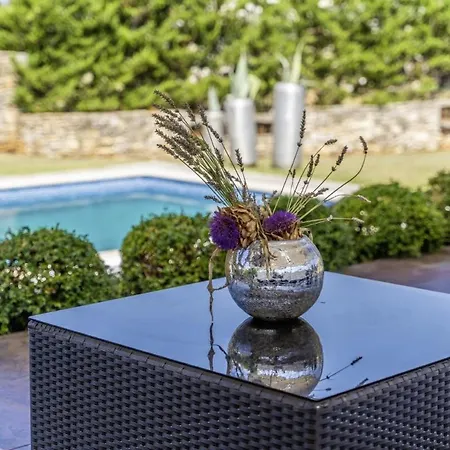 Villa Istria Moderna In Muntić *